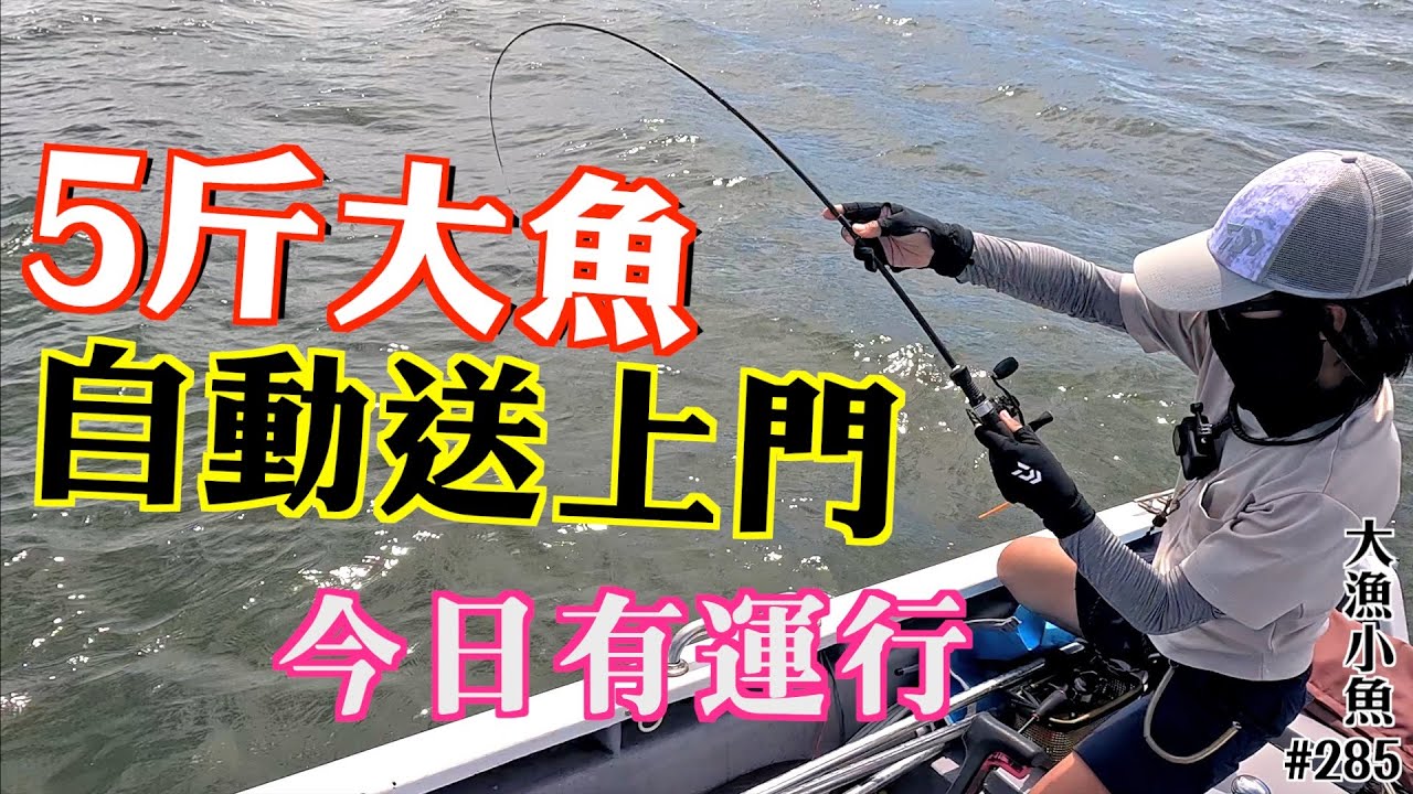大魚自動送上門 非常幸運的一天┃豆腐炆魚頭腩┃大漁小魚#285 ┃中文字幕