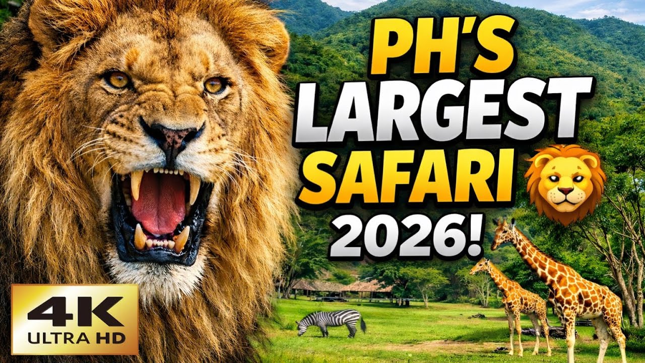 CEBU SAFARI ADVENTURE PARK 🦁 | The Largest Safari in the Philippines! (Full Tour 2026)