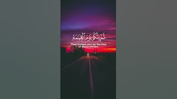 سورة الزمر - ماهر المعيقلي