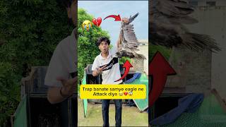 trap banate samye eagle ne attack kar diya 😭💔😱 #minivlog #viral #shorts