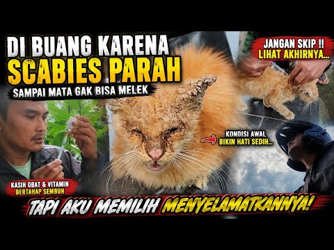 Putar Conjuring Candies - Kucing Rembes
