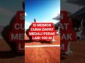 Lari 100 meter #hiburan #shortsvideo #videolucu #monyetlucu #aivideo #shortsviral #dog