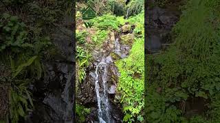 Waterfall near Woodfarm Tuscany #lucca #waterfall #italia #tuscany #tuscany #tuscanygram #toscana