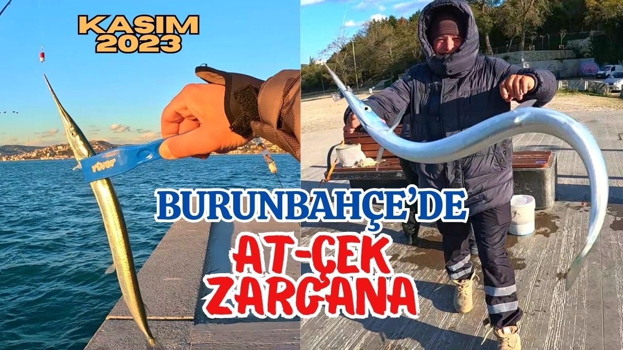 BURUNBAHÇE'DE YEMLİ AT-ÇEK ZARGANA AVI #fishing #balıkavı #zargana