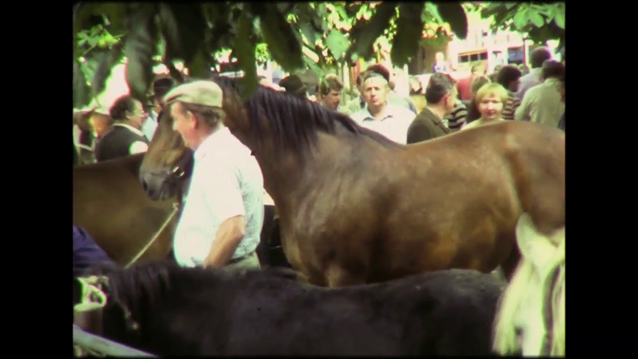 Wo ein Handschlag noch gilt (1984). Der Viehmarkt (Pferdemarkt) war gehörte zum Mittelpunkt Lingens.