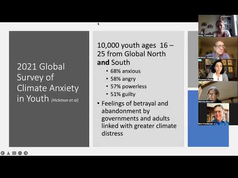 Youth Mental Health & Climate Change: Strategies to Support Coping at the Intersection of Two Crises