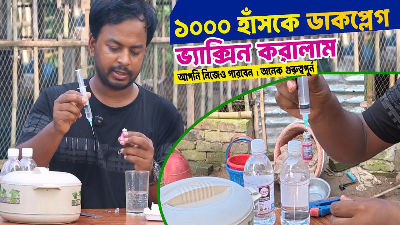 হাঁসের ডাকপ্লেগ ভ্যাক্সিন যেভাবে দিলাম । পুরো হাতে কলমে  প্রশিক্ষণ । SPM Agro