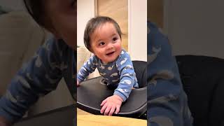 サンバ姉弟はカボチャが大好きみたいです