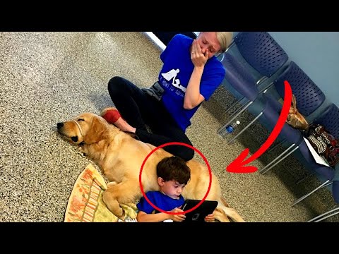 Video: Psi in otroci