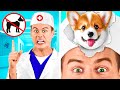 طرق مضحكة لتسلل الحيوانات الأليفة إلى المستشفى حروب المزحة Fun Teen طرق مضحكة لتسلل الحيوانات الأليفة إلى المستشفى حروب المزحة Fun Teen
