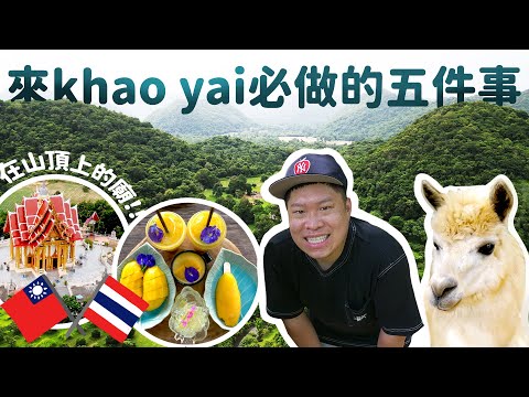 泰國最獨特的旅遊景點之一 考艾 Khao Yai 我們推薦的必做五件事 ｜ 第一次餵草泥馬 好可愛【我是YOYO】ENG CC