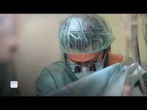 Video: Karotidna Arterija - Operacija, Bolesti, Struktura