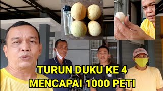TURUN DUKU PALEMBANG KE-4 SUDAH 1000 PETI DI AGEN DUKU PAKDE YONO