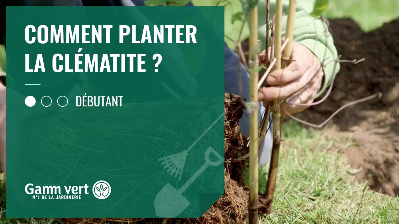 Comment utiliser une grelinette ? - Gamm vert