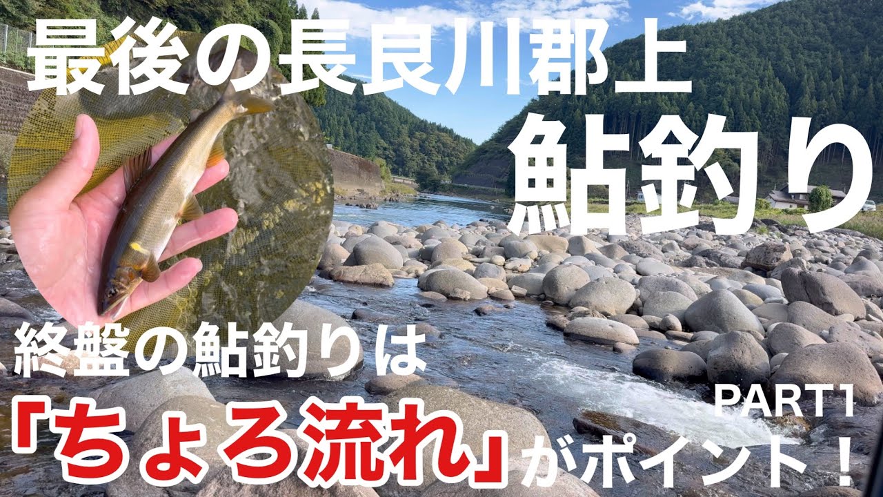 最後の長良川鮎釣りへ〜終盤の釣り〜PART1