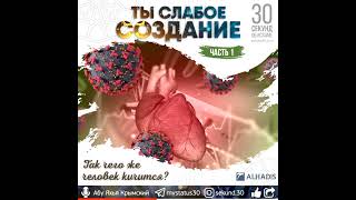 ТЫ СЛАБОЕ СОЗДАНИЕ! Видео про Ислам 30 секунд статус ватсап