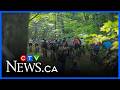 Sault's mountain-biking network gets major upgrade, expansion