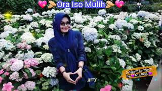 Didi Kempot ~ Ora Iso Mulih  (Bikin sedih pooll)