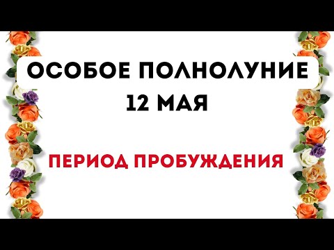 Полнолуние - 12