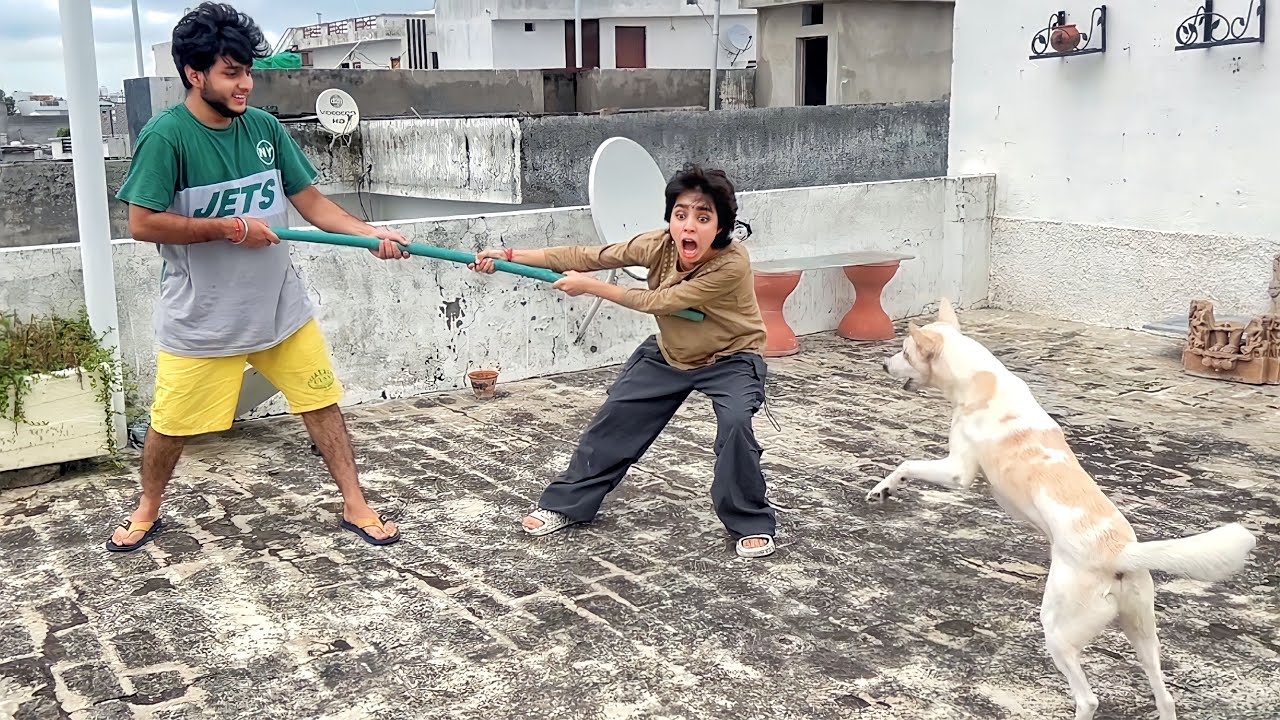 My Dog Attacked Me😰 YouTube