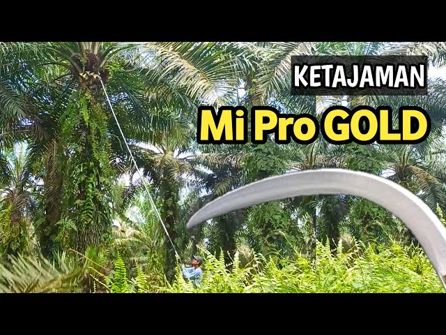 SEPERTI INI KETAJAMAN EGREK MI GLOBAL PRO ORIGINAL class=