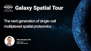 The next generation of single-cell multiplexed spatial proteomics