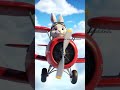 Cute Rabbit Driving Airplane | #youtubeshorts #shorts #shortsfeed #viralshort #shortvideos