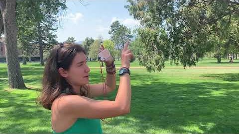 Field Techniques: Measuring Tree Height