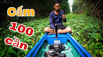 Cấm 100 Cần Câu Ở Rừng U Minh Hạ