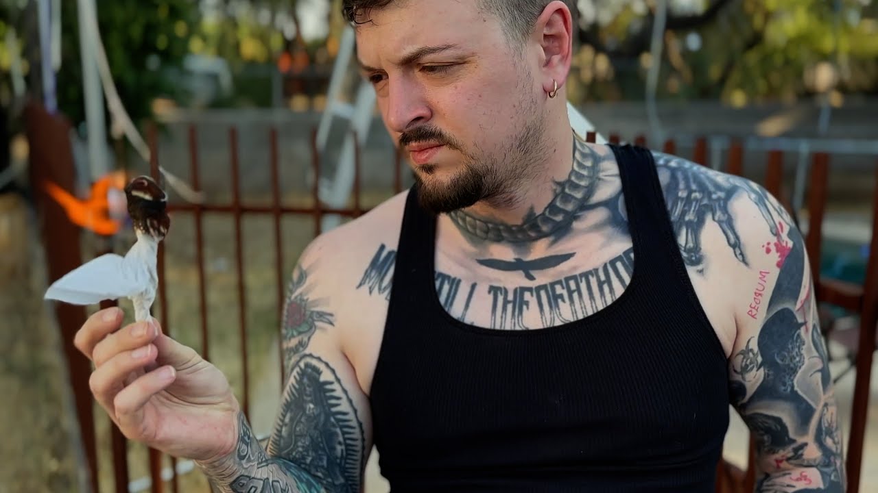 PSYKOTIQ - Trippin on You (Official Music Video)