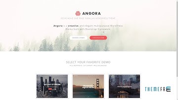 Angora - Responsive One Page Parallax WordPress Theme      Raymund Wh