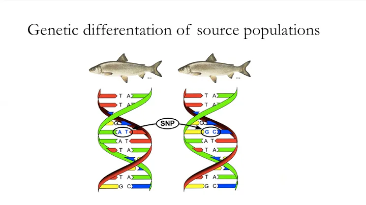 FISHES- Population genomic of Lake Whitefish in Gr...