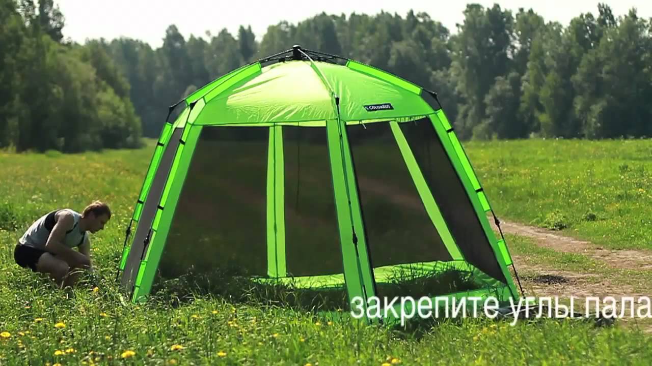 Анкор 246 веста