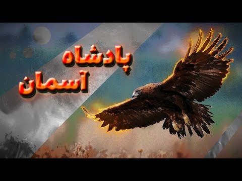 چرا عقاب پادشاه آسمون هاست