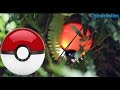 Looking for Pokeball - Shining Illuminating LED Pokeball 6000mAh Powerbank