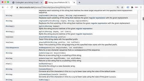 CodingBat catDog Quick & Easy Solution