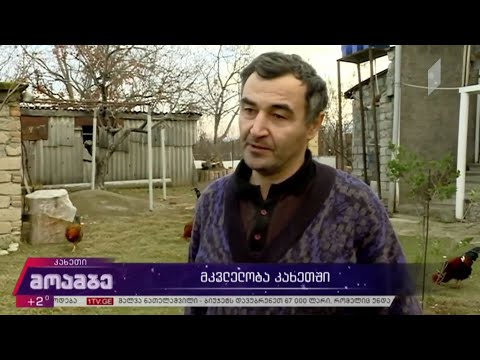 მკვლელობა კახეთში