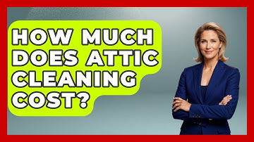 How Much Does Attic Cleaning Cost? - Insects and Invaders