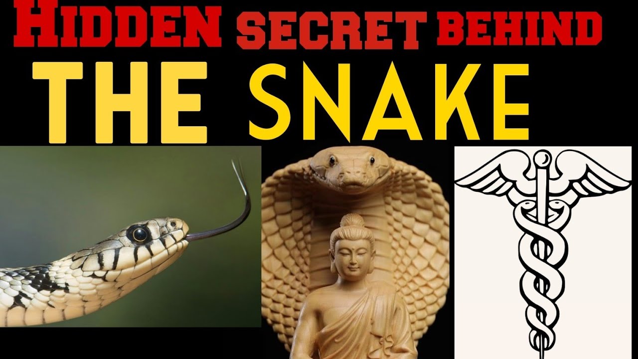 Spiritual truth about the snake - YouTube
