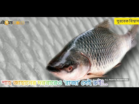 ভিডিও: পাইসের রাজা - পাফ প্যাস্ট্রি চিকেন