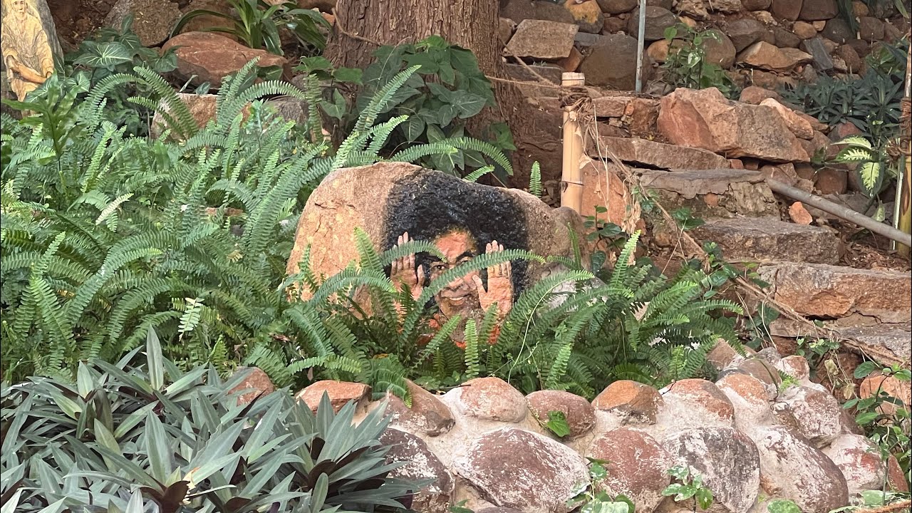 Медитация на любовь в нашем сердце 🧡 из ашрама 🙏🏻💞🌈🌸