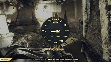 Fallout 76 - Ally Daguerre / Contractually Obfuscated