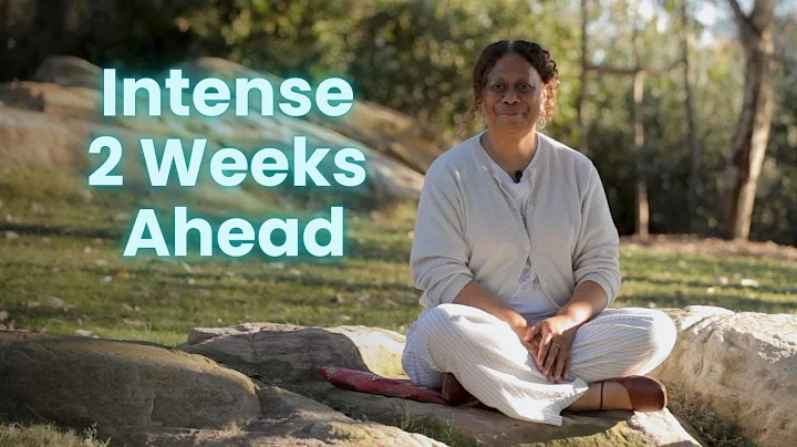 The Next 2 Weeks: Navigating Collective Fear & Energy Waves