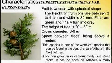 GEOBIA2012 - Estimation tree density as object-based in arid and semi-arid regions using ALOS