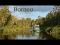 House boat-Tour in the jungle of Borneo - Kalimantan - Indonesia