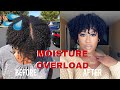 Moisture Overload | How Protein Saved My LOW POROSITY Hair & Stopped Frizz