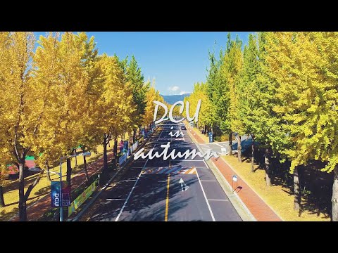 DCU in Autumn ｜대구가톨릭대학교