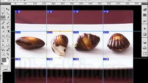 Photoshop Tutorials for Beginners - Slicing Images in Photoshop CS4