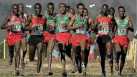 The Greatest Cross Country Race of All Time