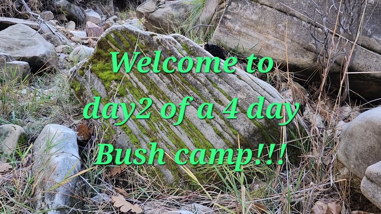 Day 2 Bushcraft Camp and Cook - YouTube